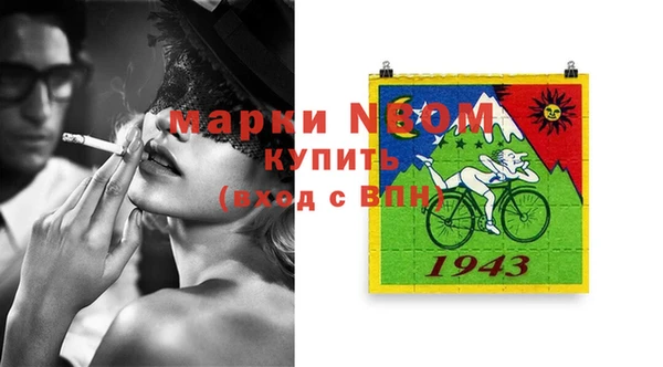 apvp Вяземский