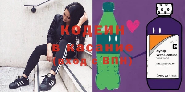 apvp Вяземский