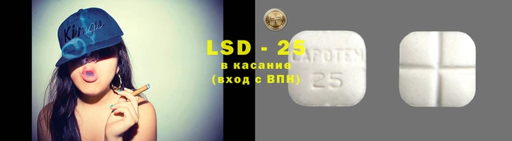 спайс Волоколамск