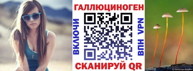 Псилоцибиновые грибы Psilocybine cubensis  Купить где  Медынь 